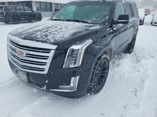 2015 Cadillac Escalade Platinum
